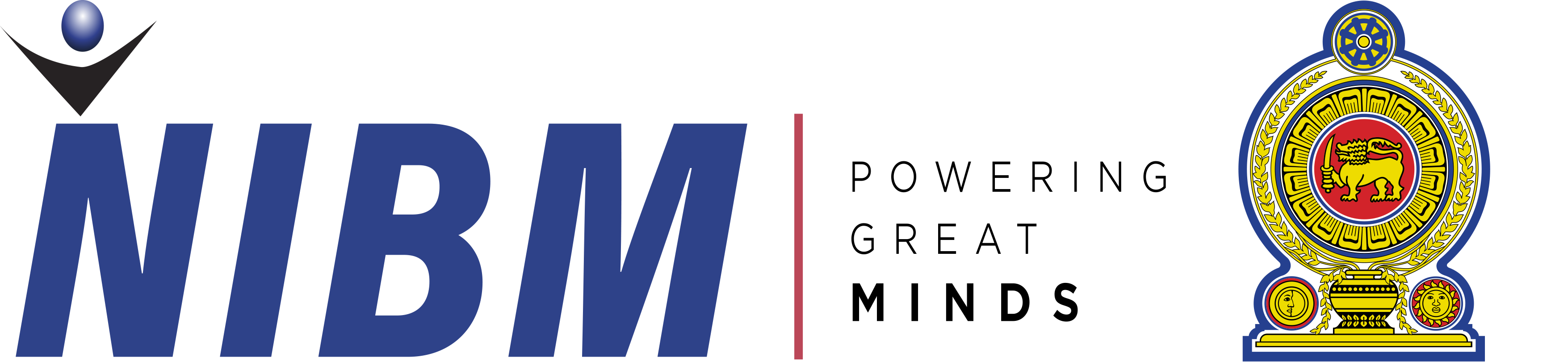 NIBM Logo